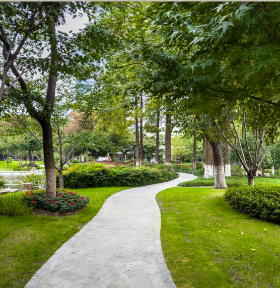 كمبوند تييرا التجمع السادس Tierra Compound