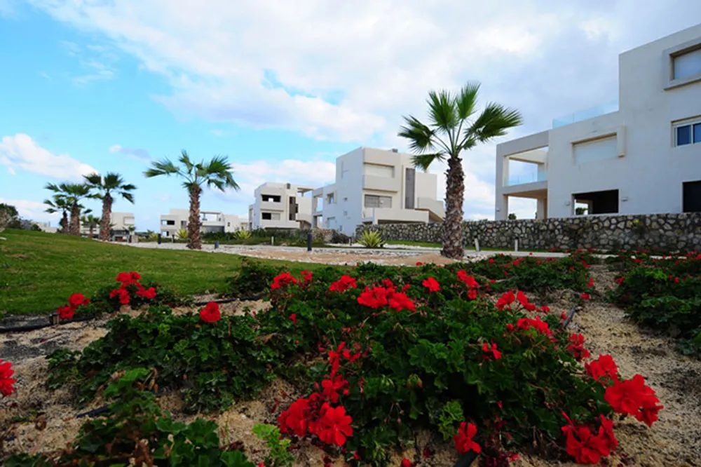 هاسيندا وايت الساحل الشمالي Hacienda White